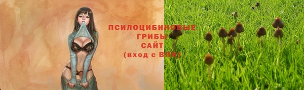 стаф Балабаново