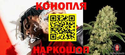 МДПВ Донской