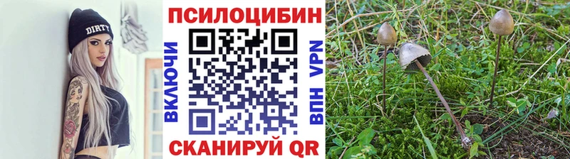 Галлюциногенные грибы Psilocybe blacksprut Новый Уренгой