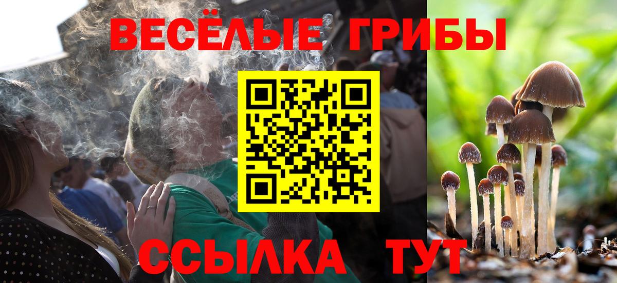 Псилоцибиновые грибы мицелий  Вход с VPN  Новый Уренгой 