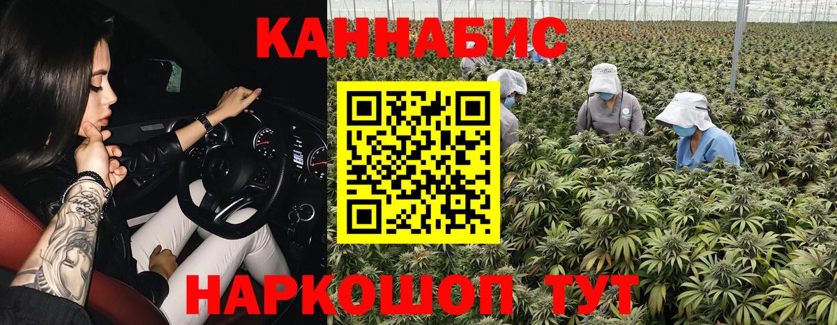 Новый Уренгой  Бошки Шишки семена  Канабис SATIVA & INDICA  Канабис THC 21%  Вход с VPN  Канабис планчик 